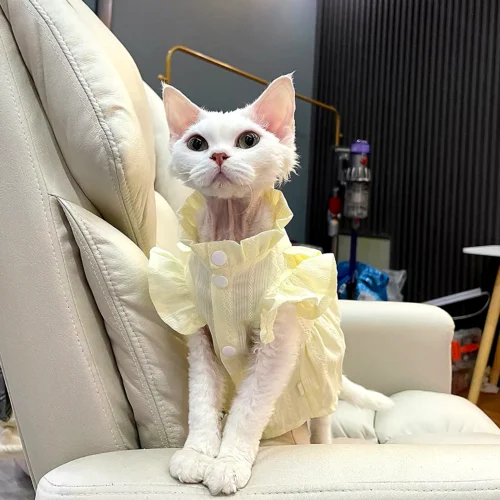 Lightweight Sphynx Cat Dress – Soft Clothes for Hairless Cats