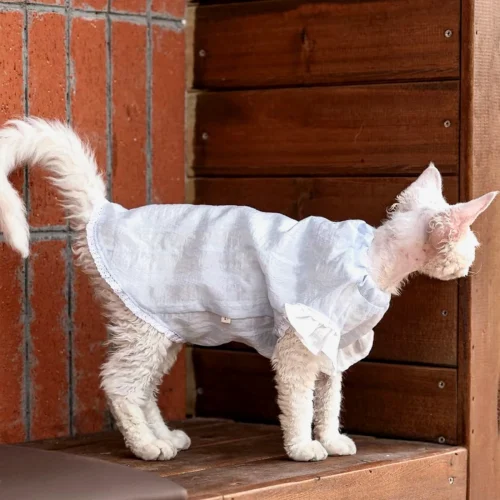 Breathable Sphynx Cat Shirt – Soft Cotton Lightweight Clothes for Hairless Cats