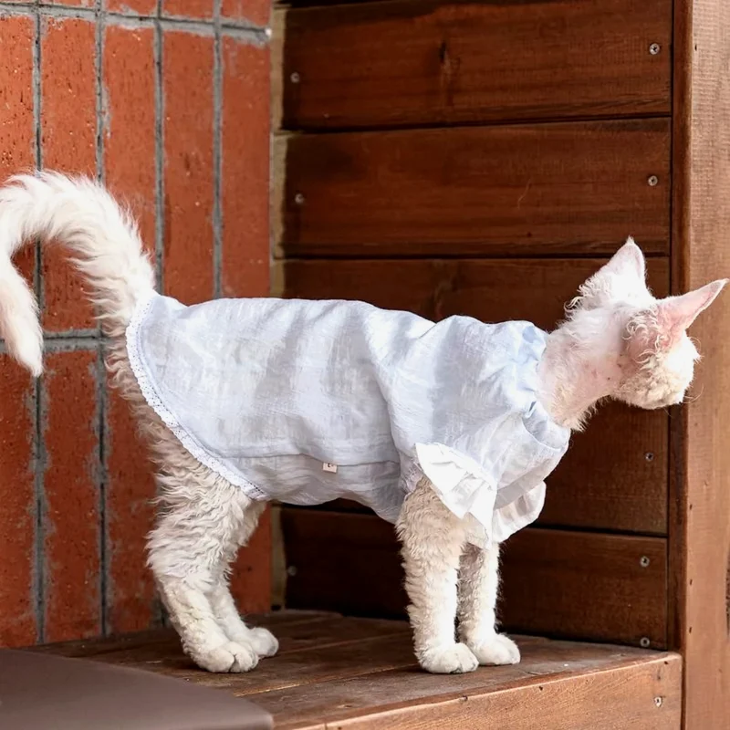 Breathable Sphynx Cat Shirt – Soft Cotton Lightweight Clothes for Hairless Cats