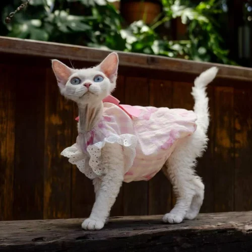 Pink Stripe Sphynx Cat Dress – Soft Clothes for Hairless Cats