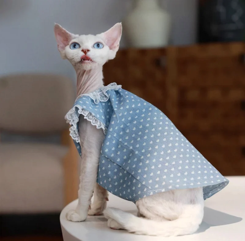 Polka Dot Sphynx Cat Dress – Soft Lightweight Clothes for Hairless Cats