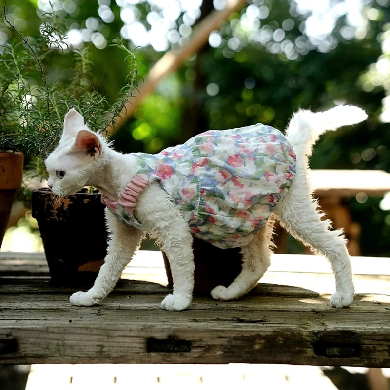 Floral Cotton Cat Dress for Hairless Cats | Sphynx & Devon Rex