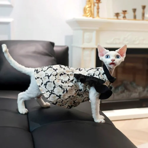 Lightweight Sphynx Cat Dress – Soft Ribbon Clothes for Hairless Cats