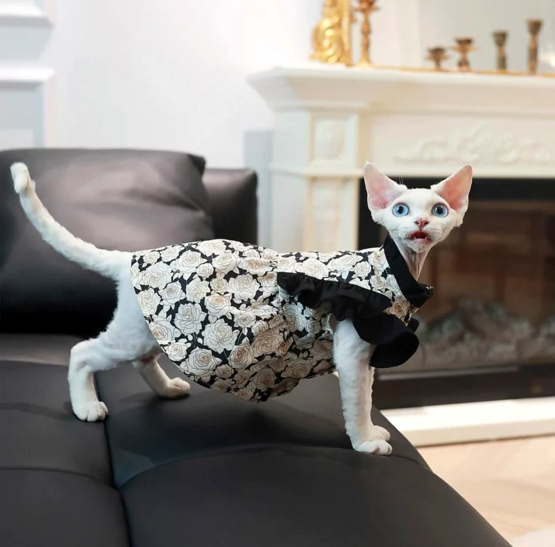 Lightweight Sphynx Cat Dress – Soft Ribbon Clothes for Hairless Cats