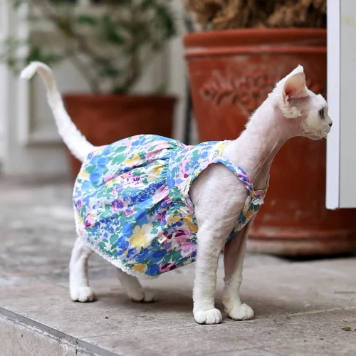 Floral Sphynx Cat Dress – Lightweight Clothes for Hairless Cats