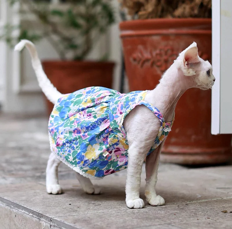 Floral Sphynx Cat Dress – Lightweight Clothes for Hairless Cats