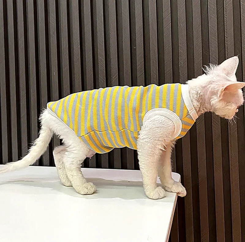 Yellow Stripe Sphynx Cat Shirt – Soft Cotton Clothes for Hairless Cats