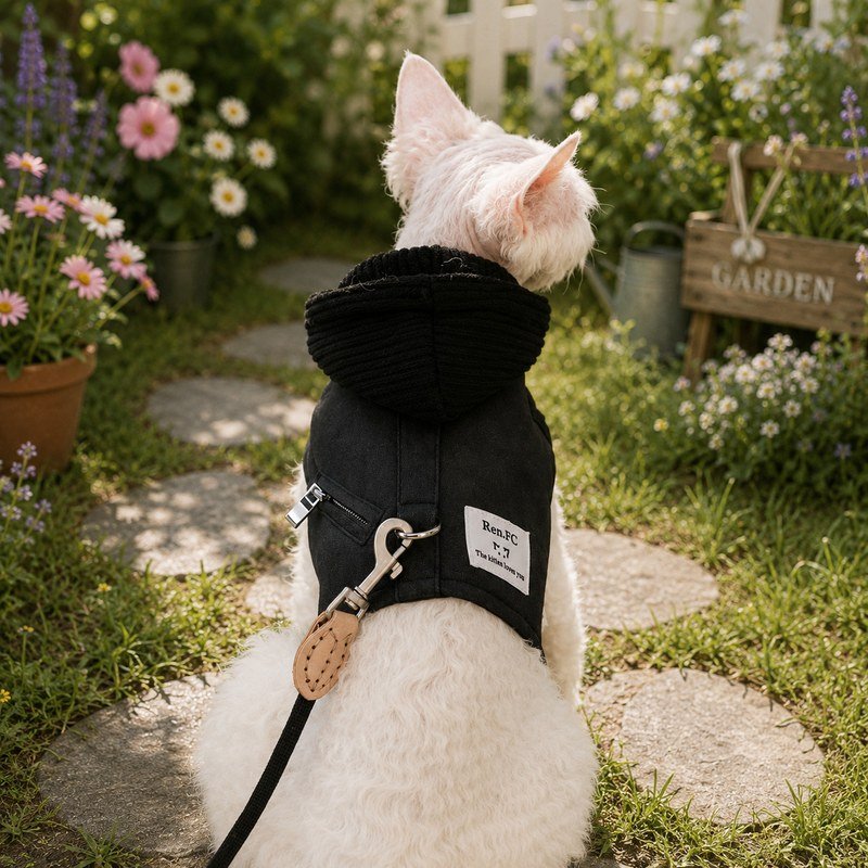 Escape Proof Cat Harness and Leash Set – Soft Breathable No-Pull Adjustable Vest for Kittens