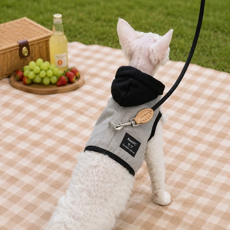 Cat Harness and Leash Set—— for Sphynx, Devon Rex & Abyssinian Cats