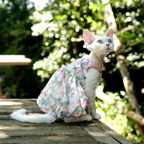 Floral Cotton Cat Dress for Hairless Cats | Sphynx & Devon Rex