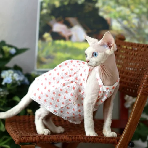 Heart Print Sphynx Cat Dress – Soft Clothes for Hairless Cats