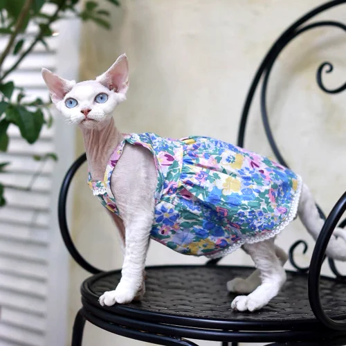 Floral Sphynx Cat Dress – Lightweight Clothes for Hairless Cats