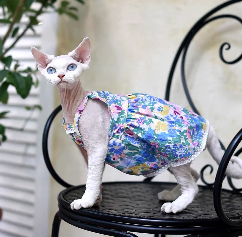 Floral Sphynx Cat Dress – Lightweight Clothes for Hairless Cats