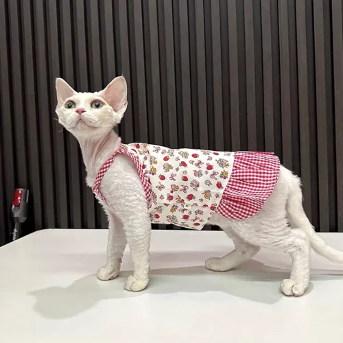 Patchwork Sphynx Cat Dress – Soft Clothes for Hairless Cats