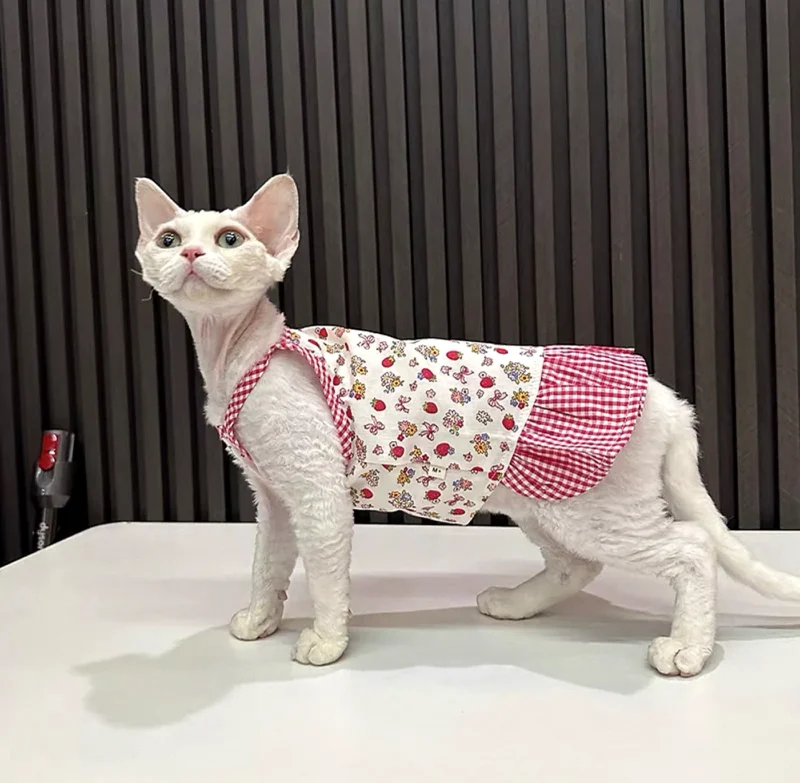 Patchwork Sphynx Cat Dress – Soft Clothes for Hairless Cats