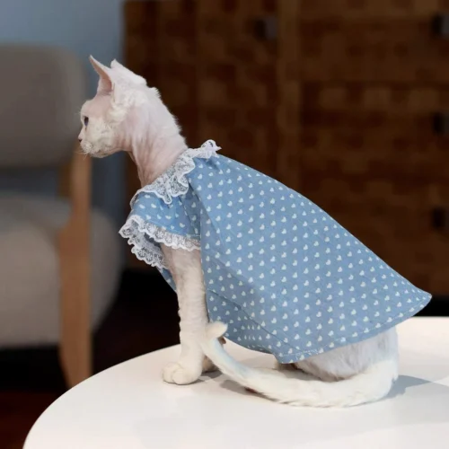 Polka Dot Sphynx Cat Dress – Soft Lightweight Clothes for Hairless Cats