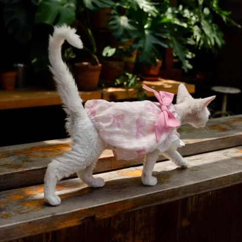 Pink Stripe Sphynx Cat Dress – Soft Clothes for Hairless Cats