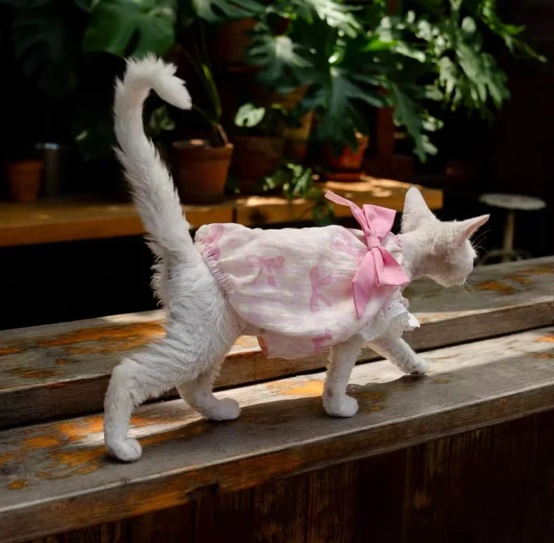 Pink Stripe Sphynx Cat Dress – Soft Clothes for Hairless Cats