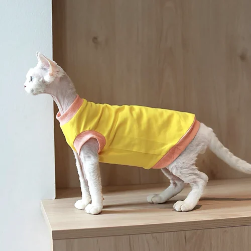Yellow Sphynx Cat T-Shirt – Soft Cotton Clothes for Hairless Cats