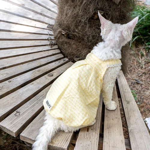 Lightweight Sphynx Cat Dress – Soft Clothes for Hairless Cats