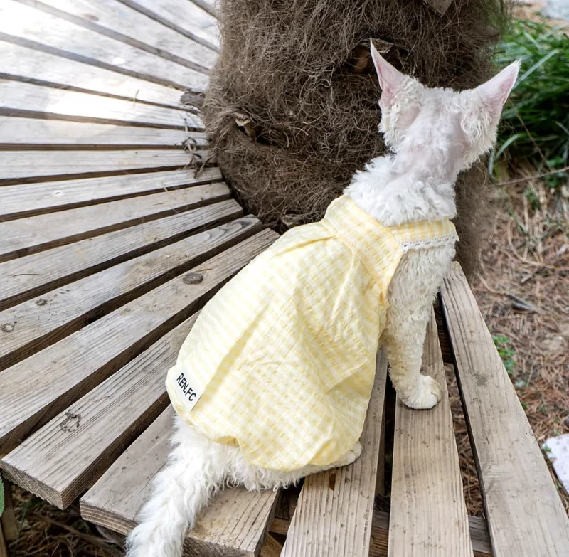Lightweight Sphynx Cat Dress – Soft Clothes for Hairless Cats