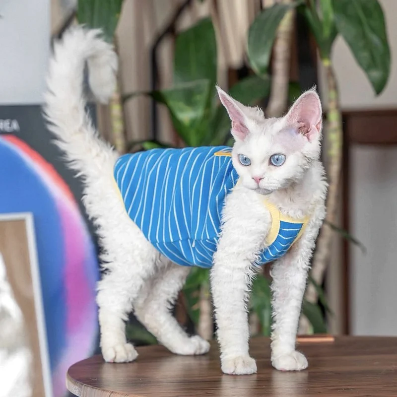 Breathable Sphynx Cat Vest Shirt – Soft Lightweight Clothes for Hairless Cats