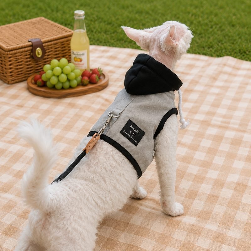 Cat Harness and Leash Set—— for Sphynx, Devon Rex & Abyssinian Cats