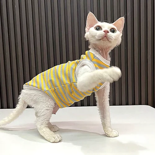 Yellow Stripe Sphynx Cat Shirt – Soft Cotton Clothes for Hairless Cats