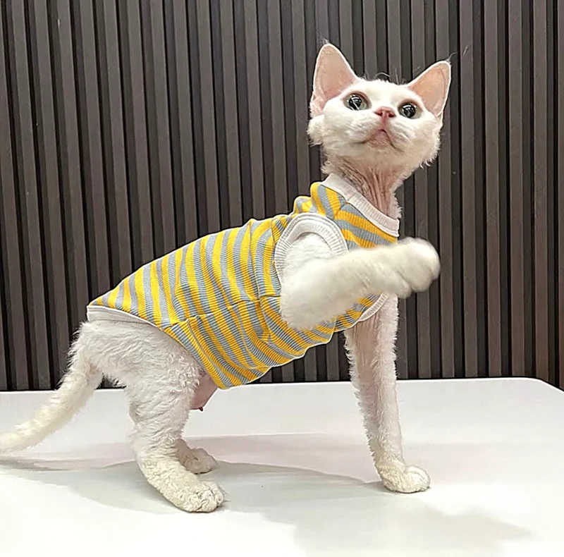 Yellow Stripe Sphynx Cat Shirt – Soft Cotton Clothes for Hairless Cats