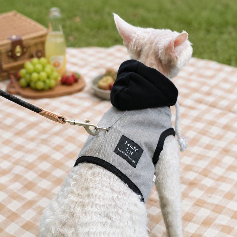 Cat Harness and Leash Set—— for Sphynx, Devon Rex & Abyssinian Cats
