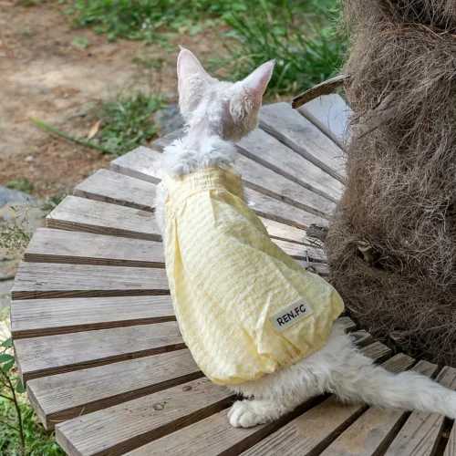 Lightweight Sphynx Cat Dress – Soft Clothes for Hairless Cats