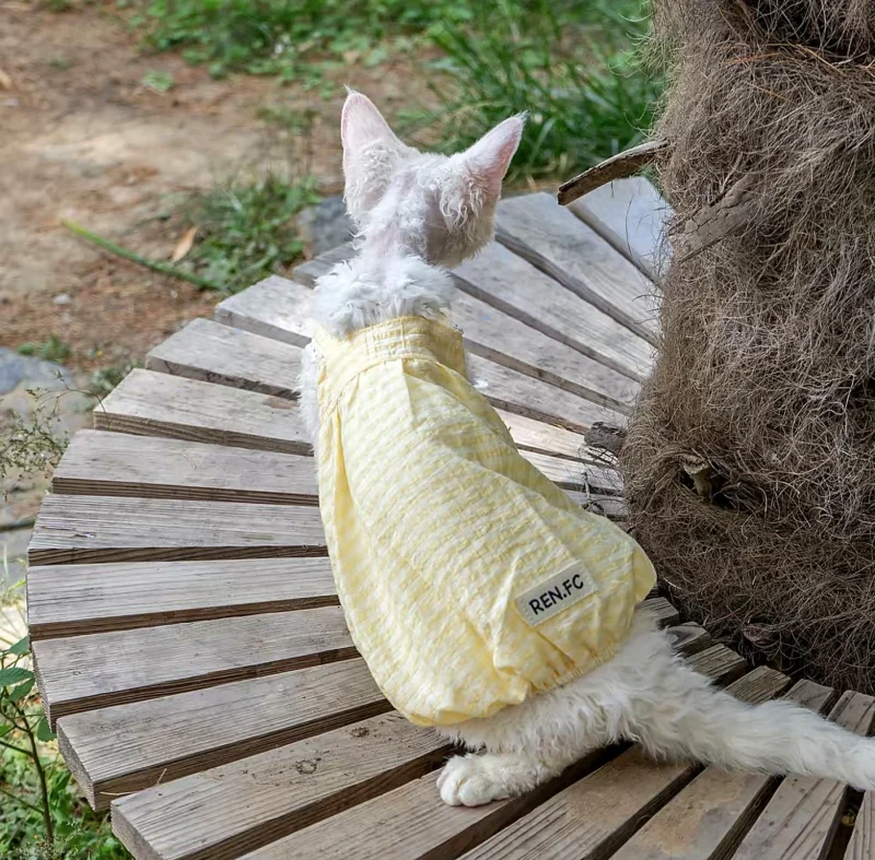 Lightweight Sphynx Cat Dress – Soft Clothes for Hairless Cats