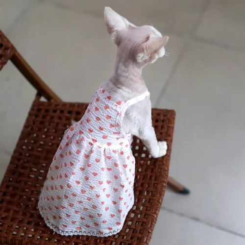 Heart Print Sphynx Cat Dress – Soft Clothes for Hairless Cats