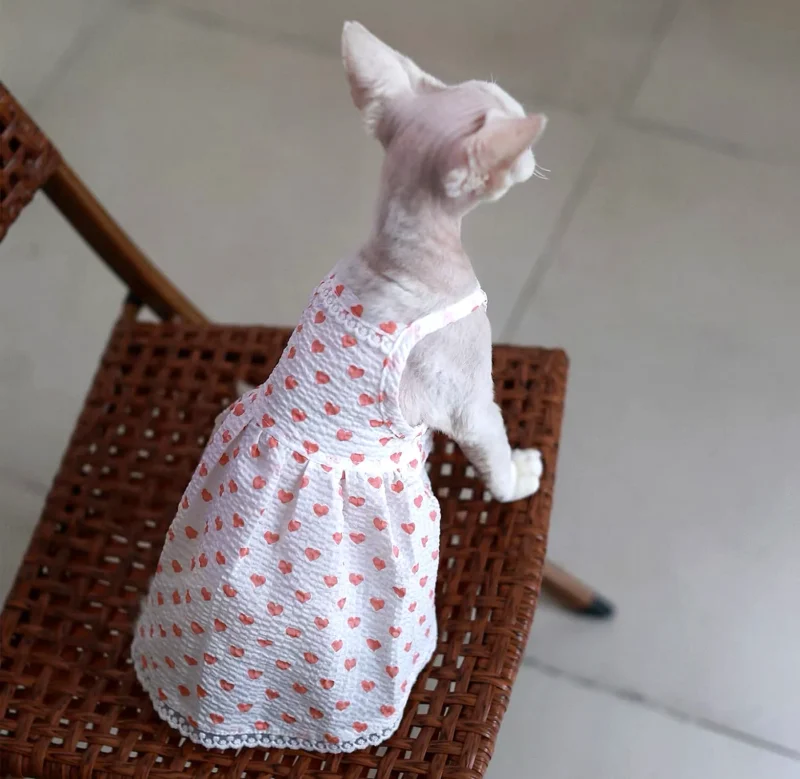 Heart Print Sphynx Cat Dress – Soft Clothes for Hairless Cats