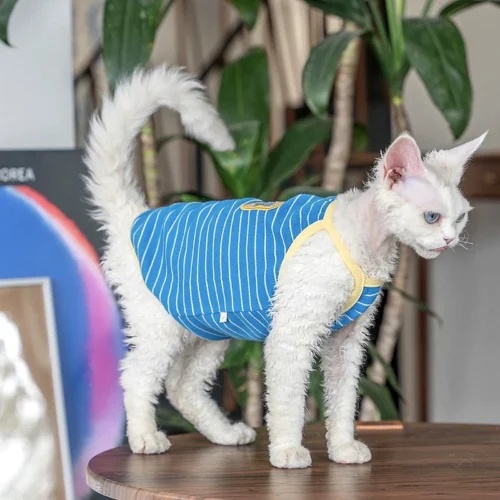 Breathable Sphynx Cat Vest Shirt – Soft Lightweight Clothes for Hairless Cats