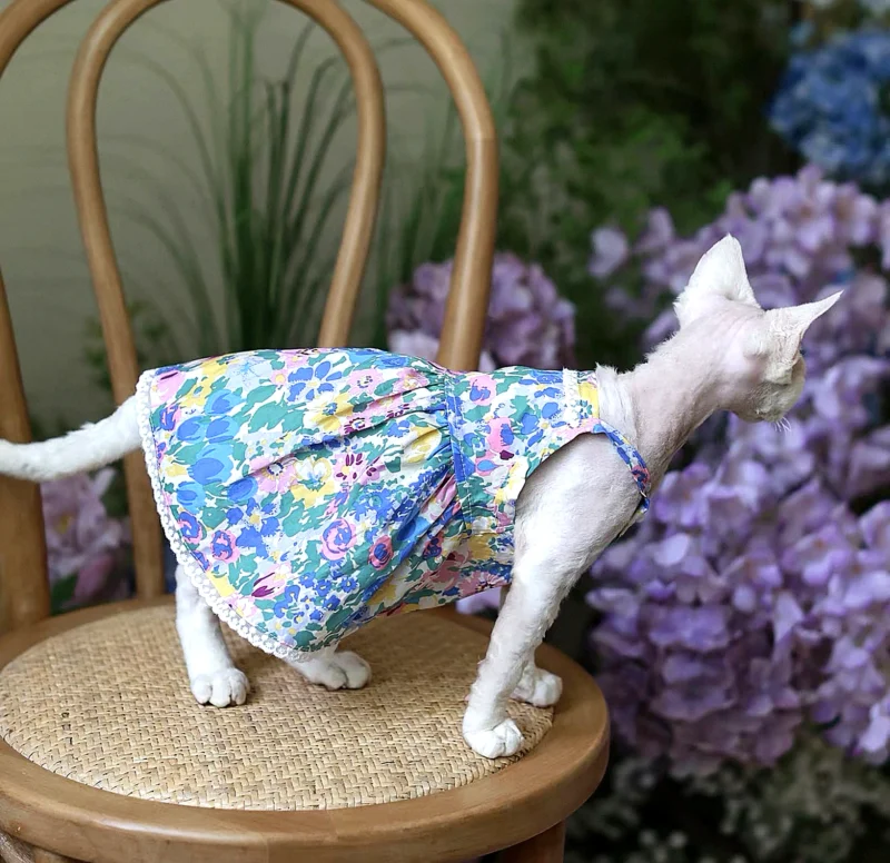 Floral Sphynx Cat Dress – Lightweight Clothes for Hairless Cats