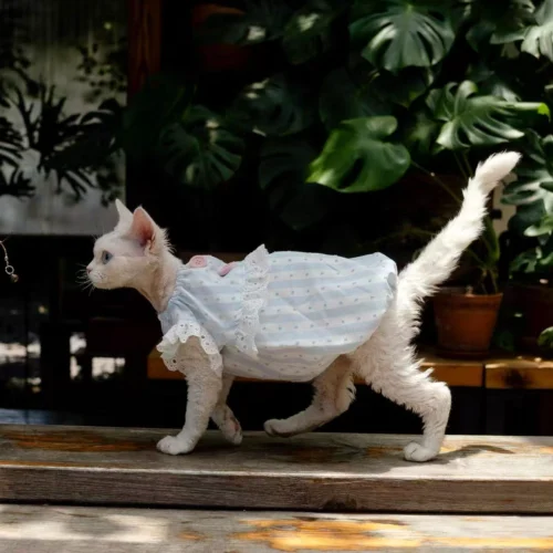 White Lace Sphynx Cat Dress – Soft Clothes for Hairless Cats