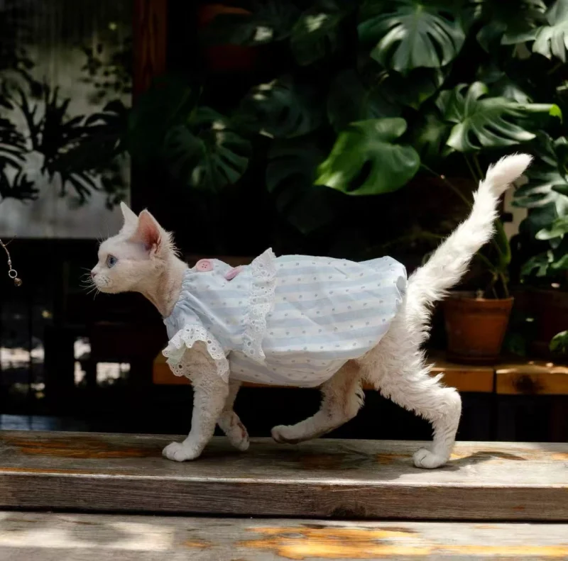 White Lace Sphynx Cat Dress – Soft Clothes for Hairless Cats