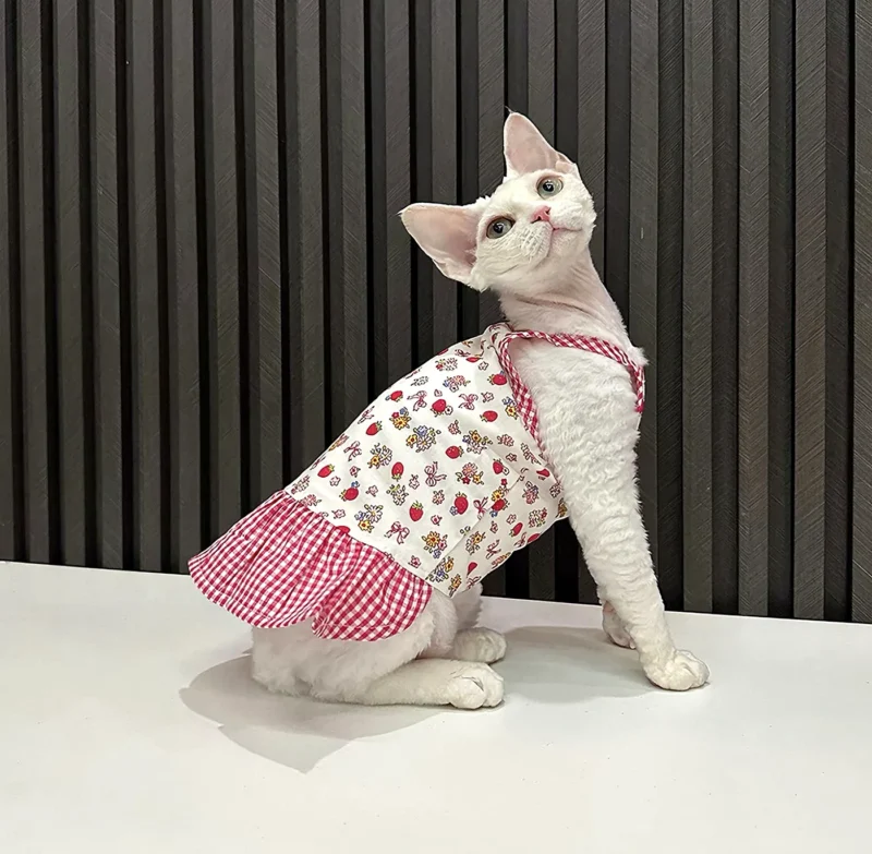 Patchwork Sphynx Cat Dress – Soft Clothes for Hairless Cats
