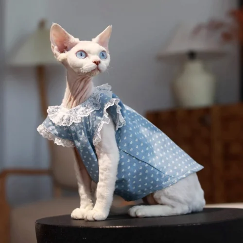 Polka Dot Sphynx Cat Dress – Soft Lightweight Clothes for Hairless Cats