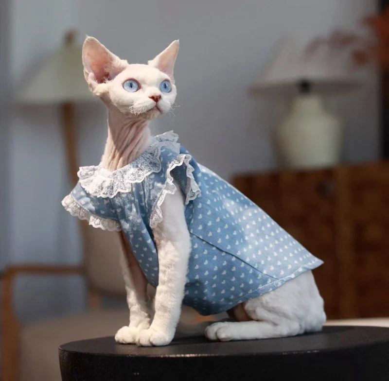 Polka Dot Sphynx Cat Dress – Soft Lightweight Clothes for Hairless Cats