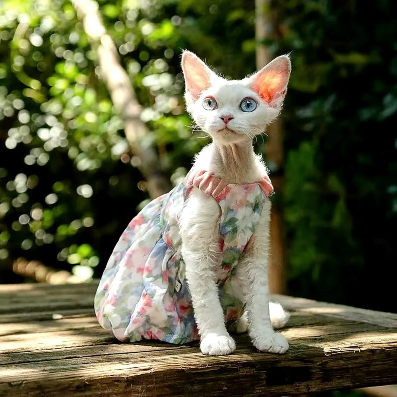 Floral Cotton Cat Dress for Hairless Cats | Sphynx & Devon Rex