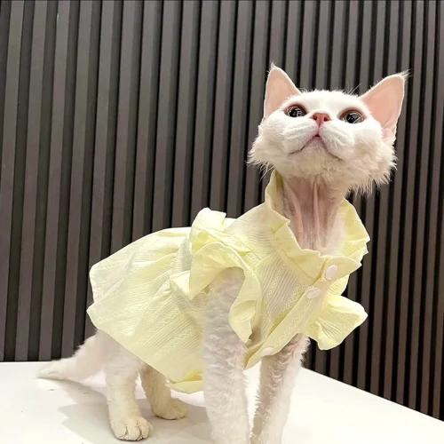 Lightweight Sphynx Cat Dress – Soft Clothes for Hairless Cats