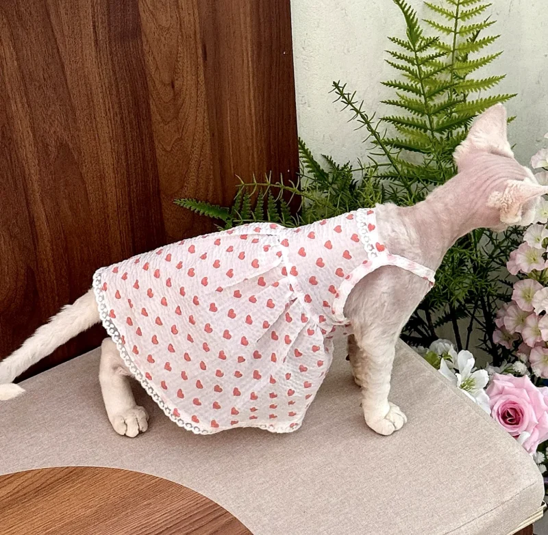 Heart Print Sphynx Cat Dress – Soft Clothes for Hairless Cats