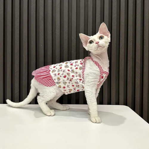 Patchwork Sphynx Cat Dress – Soft Clothes for Hairless Cats