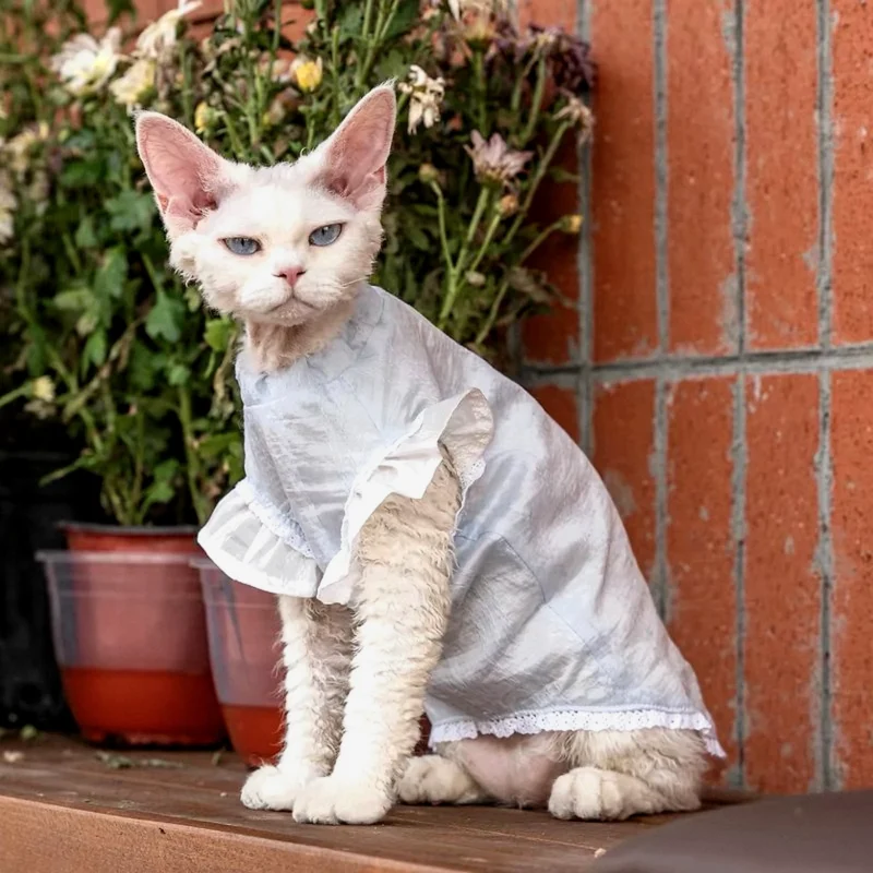 Breathable Sphynx Cat Shirt – Soft Cotton Lightweight Clothes for Hairless Cats