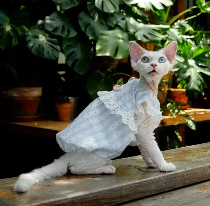 White Lace Sphynx Cat Dress – Soft Clothes for Hairless Cats