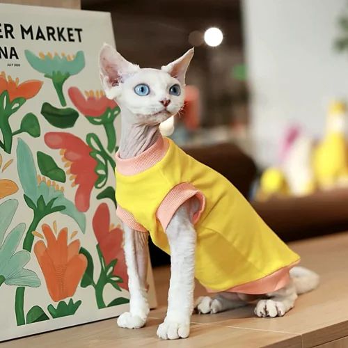 Yellow Sphynx Cat T-Shirt – Soft Cotton Clothes for Hairless Cats