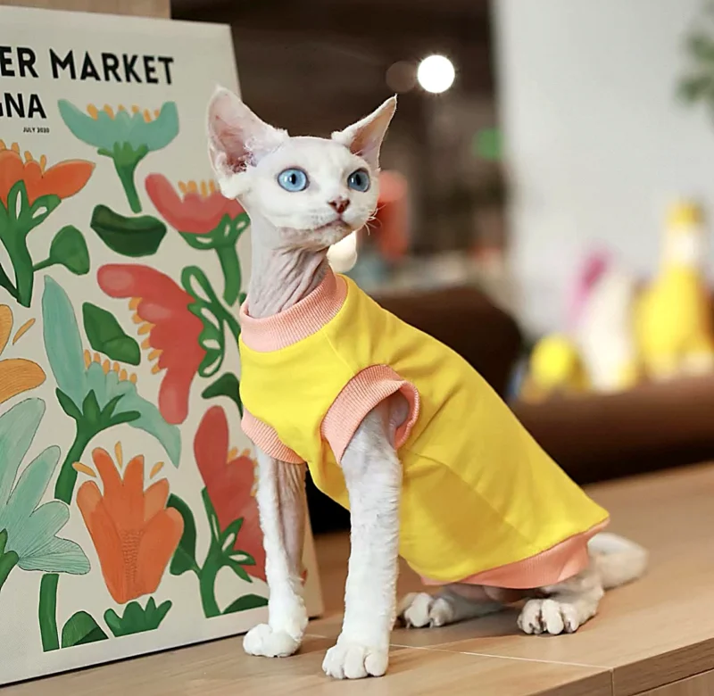 Yellow Sphynx Cat T-Shirt – Soft Cotton Clothes for Hairless Cats