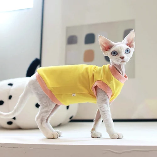 Yellow Sphynx Cat T-Shirt – Soft Cotton Clothes for Hairless Cats